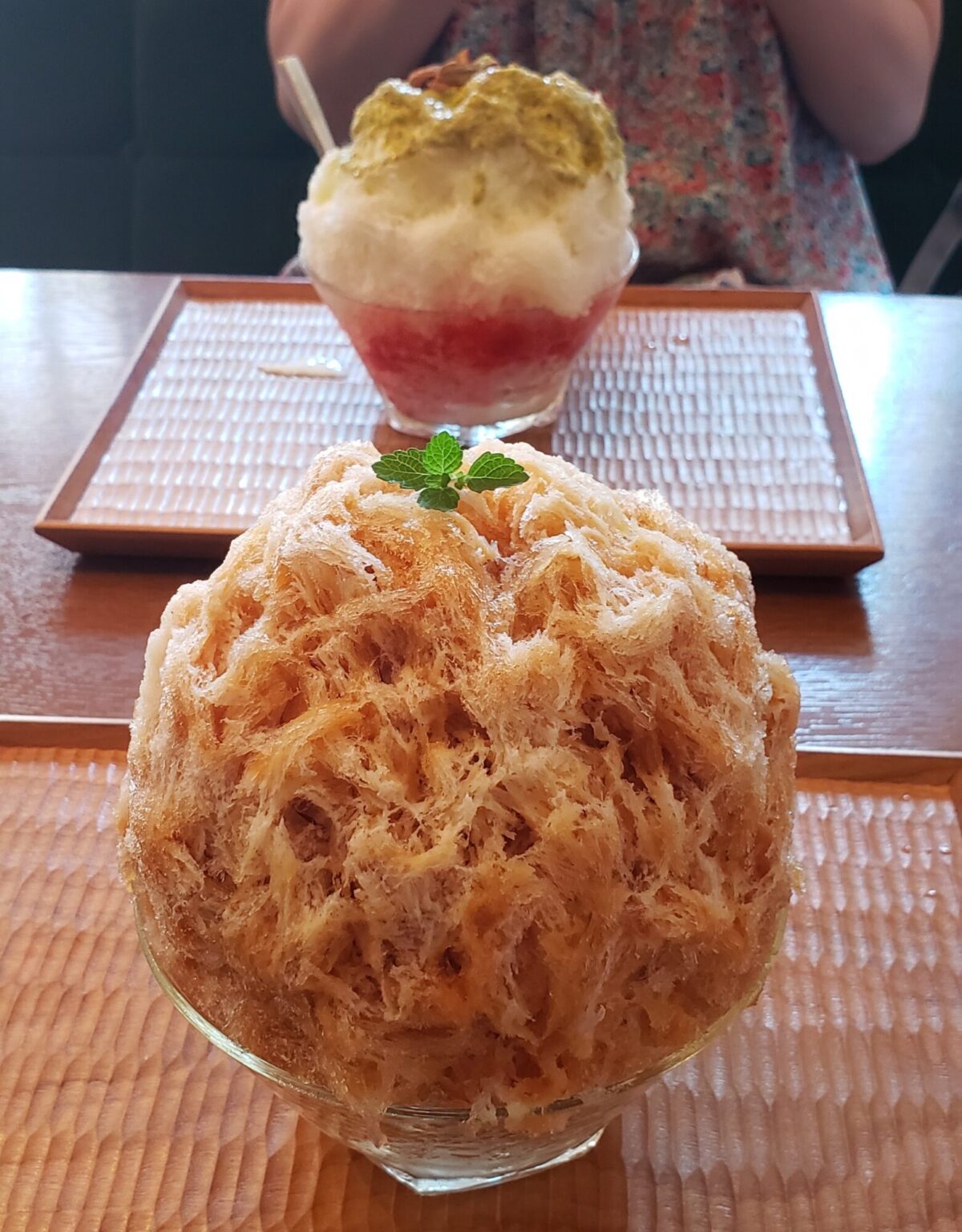 ひまわりは元気だ