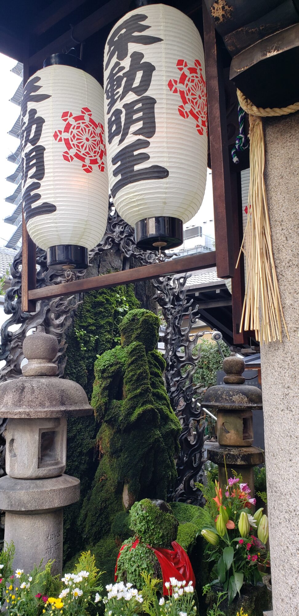 初笑い(*’▽’)