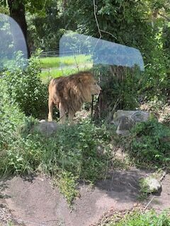 ３歳になりました！！！